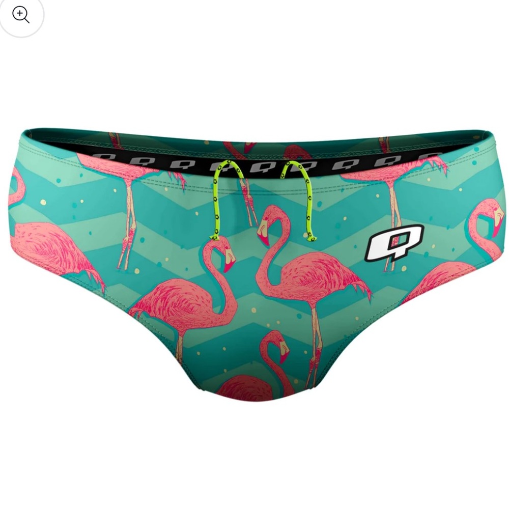 Qswimwear Flock of Flamingos Classic Brief Swimsuit
NWT 
Size 30